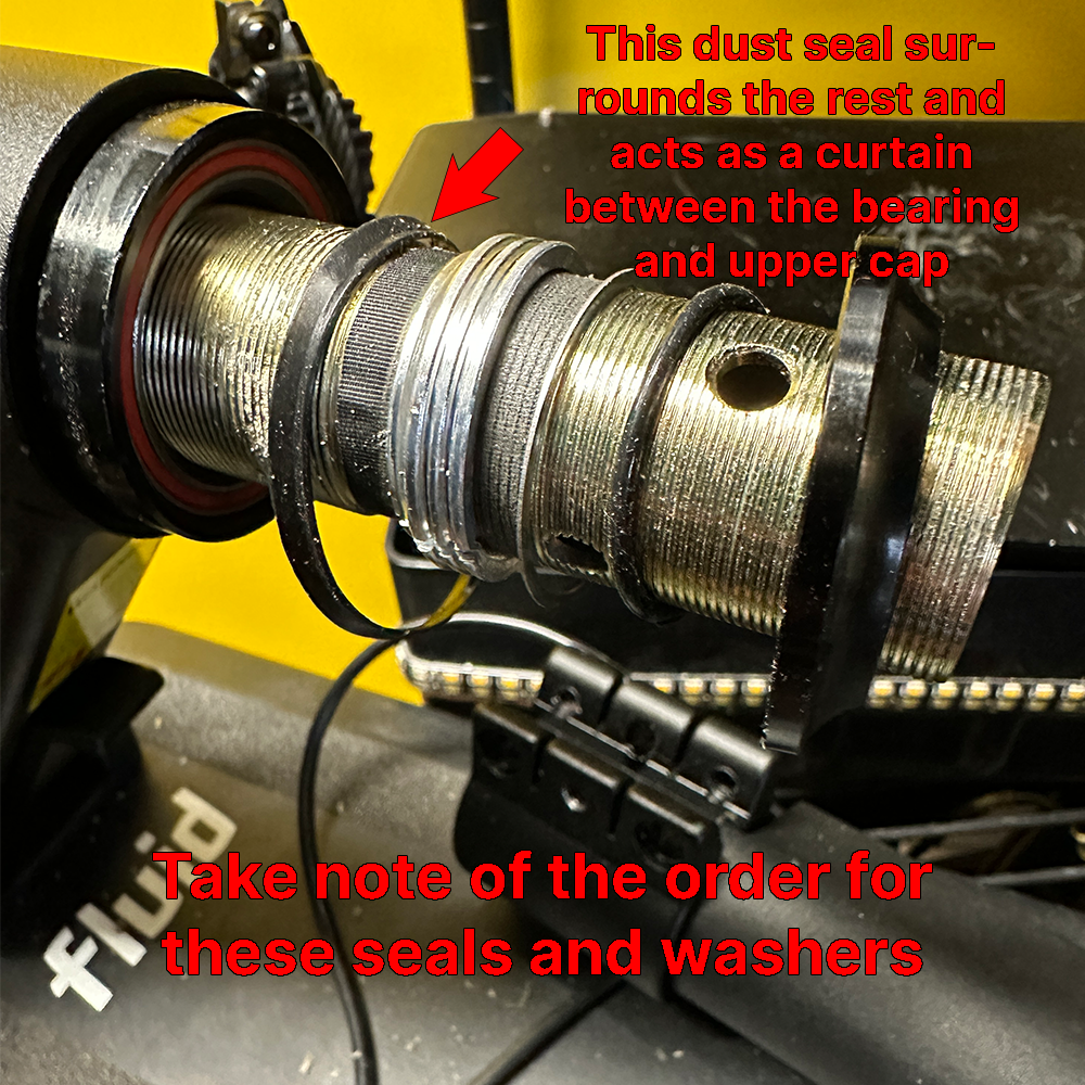 horsteerseal.png