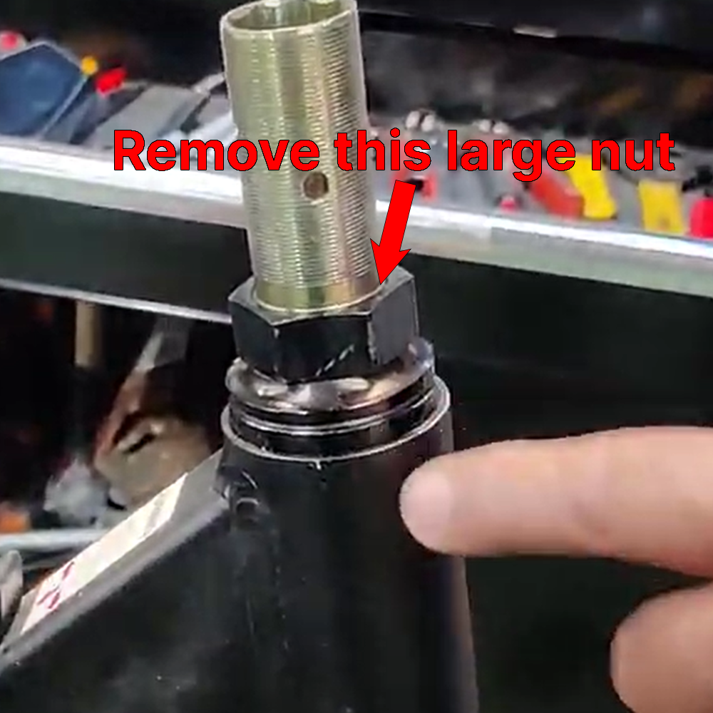 horsteernut.png