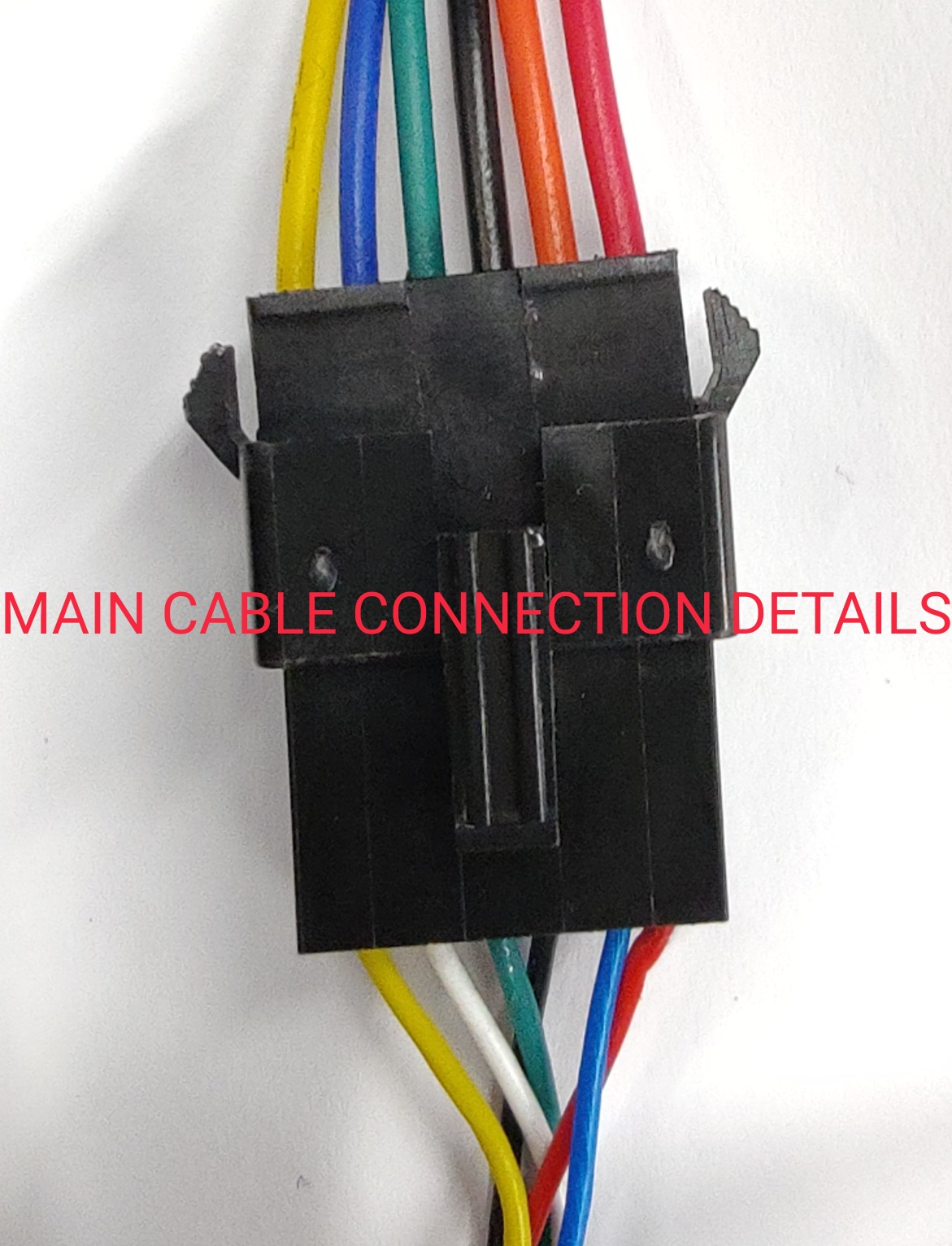 Mantis_60_volt_controller_main_cable.jpg
